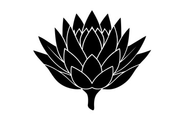 
king protea flower vector silhouette, vector black king protea silhouette, king protea flower icon
