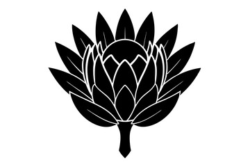 
king protea flower vector silhouette, vector black king protea silhouette, king protea flower icon
