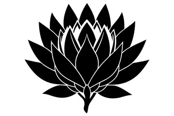 
king protea flower vector silhouette, vector black king protea silhouette, king protea flower icon
