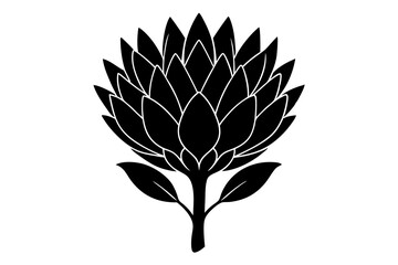 
king protea flower vector silhouette, vector black king protea silhouette, king protea flower icon
