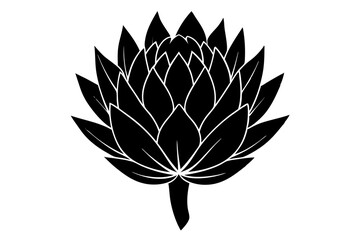 
king protea flower vector silhouette, vector black king protea silhouette, king protea flower icon
