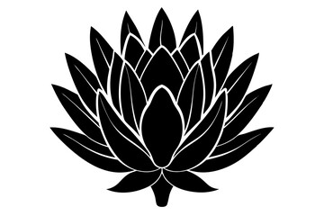 
king protea flower vector silhouette, vector black king protea silhouette, king protea flower icon
