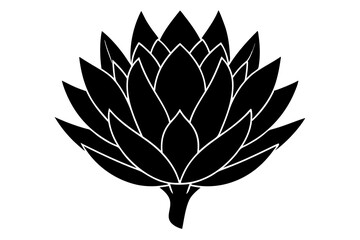 
king protea flower vector silhouette, vector black king protea silhouette, king protea flower icon
