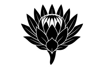 
king protea flower vector silhouette, vector black king protea silhouette, king protea flower icon
