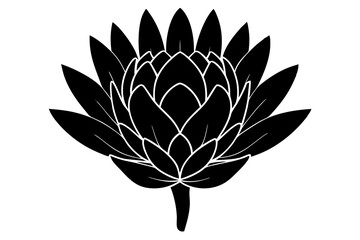 
king protea flower vector silhouette, vector black king protea silhouette, king protea flower icon
