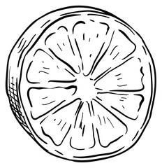 lemon handdrawn illustration