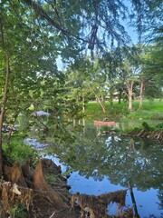 Water reflections and landscape