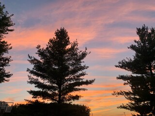 Sunset tree line