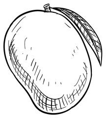 mango handdrawn illustration
