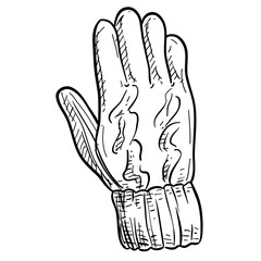 winter gloves handdrawn illustration