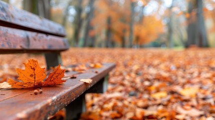 A city park with benches covered in fallen autumn leaves
