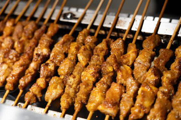 Golden Skewered Sausages on a Hot Barbecue Grill
