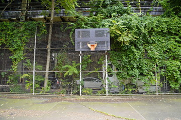 basketball hoop