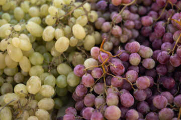 Purple and green grapes sold on bazaar or market