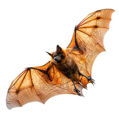 Naklejka premium A Majestic Bat in Mid-Flight with Stunning Wings and Sharp Features