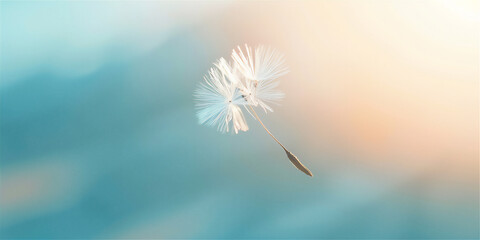 Dandelion flowers flying in the air 