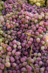 Purple and green grapes sold on bazaar or market