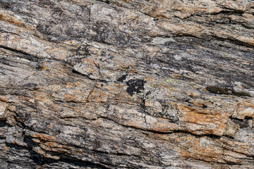 Mica-quartz schist / Yukon-Tanana Terrane bedrock, Savage River canyon, Denali National Park & Preserve, Alaska geology. Alaska Range / American Cordillera. metamorphic rock