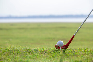 Golf clubs and golf balls on a green lawn in a beautiful golf course