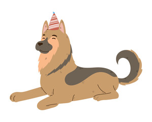 happy dog with birthday hat