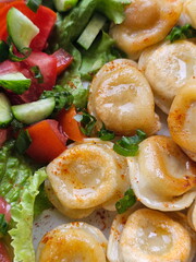 Fried dumplings on a checkered tablecloth