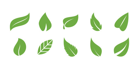 Set of green leaf design. Leaves of trees and plants. Premium Vector