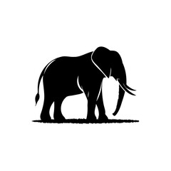 design with black elephant silhouette art