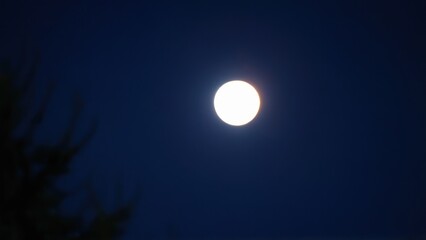  the moon shines brightly against the dark evening sky,