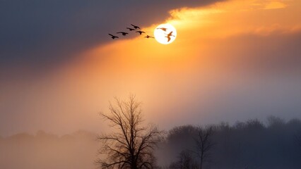 Fototapeta premium a group of birds flying through the air over a field,