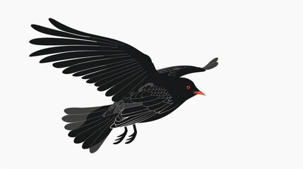 Fototapeta premium Black bird flying on white background.