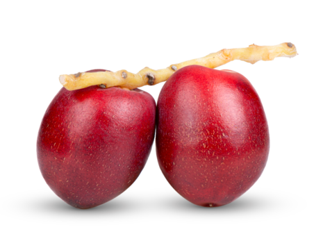 red raw date palm isolated on transparent png