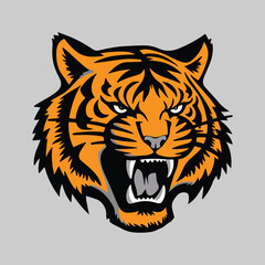 Web Tiger head image Colorful vector illustration Tiger head , Fierce Tiger head vector.