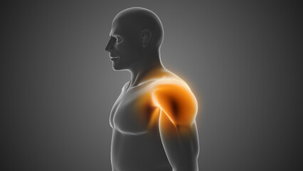 The human body experiences shoulder joint pain.