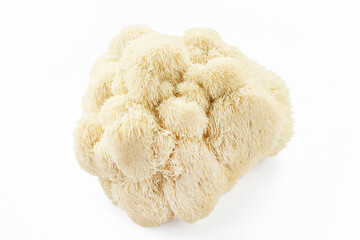 Lion's Mane Mushroom on white background