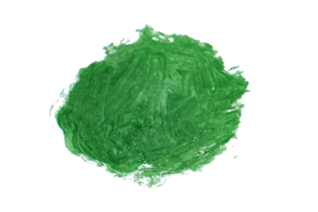 abstract green stroke water color brush isolated on white background