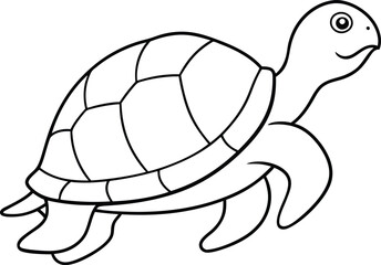 hand drawn turtle outline illustration