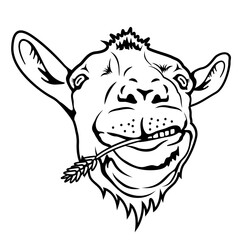 Goat | Domestic Animal | Farm Animal | Goat Head | Wildlife | Grass Eater | Kid | Goat Eating grass | Original Illustration | Vector and Clipart | Cutfile and Stencil