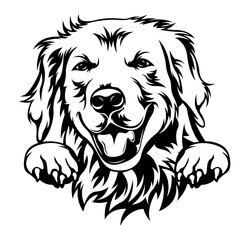 Golden Retriever Peeking | Dog Peek a Boo | Dog Breed | Friendly Animal | Peeking Puppy | Dog Lover | Pet | Domestic Animal | Original Illustration | Vector and Clipart | Cutfile and Stencil