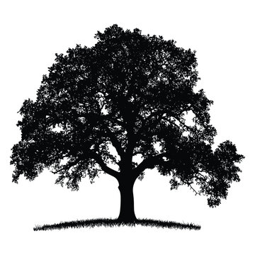 recommend clip art: Black silhouette of a large tree with grass at the base. 
