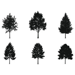 Fototapeta premium Silhouettes of 6 different trees isolated on white background.