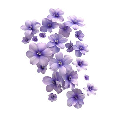 Violet flowers arranged alone on a transparent background