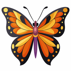 butterfly illustration