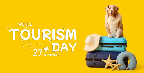 Cute Australian Shepherd dog with hat and travel pillow sitting on suitcases against yellow background. Tourism concept