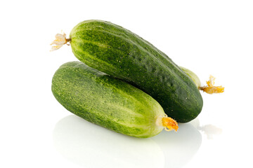 Ripe fresh green cucumbers isolated on a white background. Full depth of field. Close-up