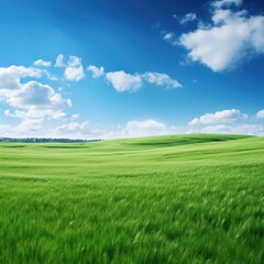Obraz premium Lush green field with flowers and clouds in the sky