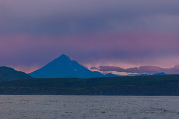 Landscape Petropavlovsk Kamchatsky and Koryaksky Volcano with killer whale. Concept Travel photo Kamchatka Peninsula Russia