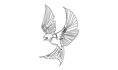  black bird illustration of wings.