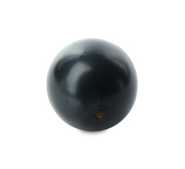 One fresh ripe blackcurrant isolated on white