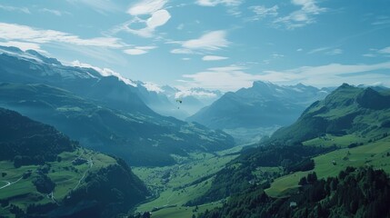 Fototapeta premium Bird flying over green valley