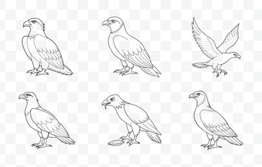 Print Osprey Line Art Vector Collection Elegant and Detailed Illustrations of Ospreys for Artistic and Design Projects